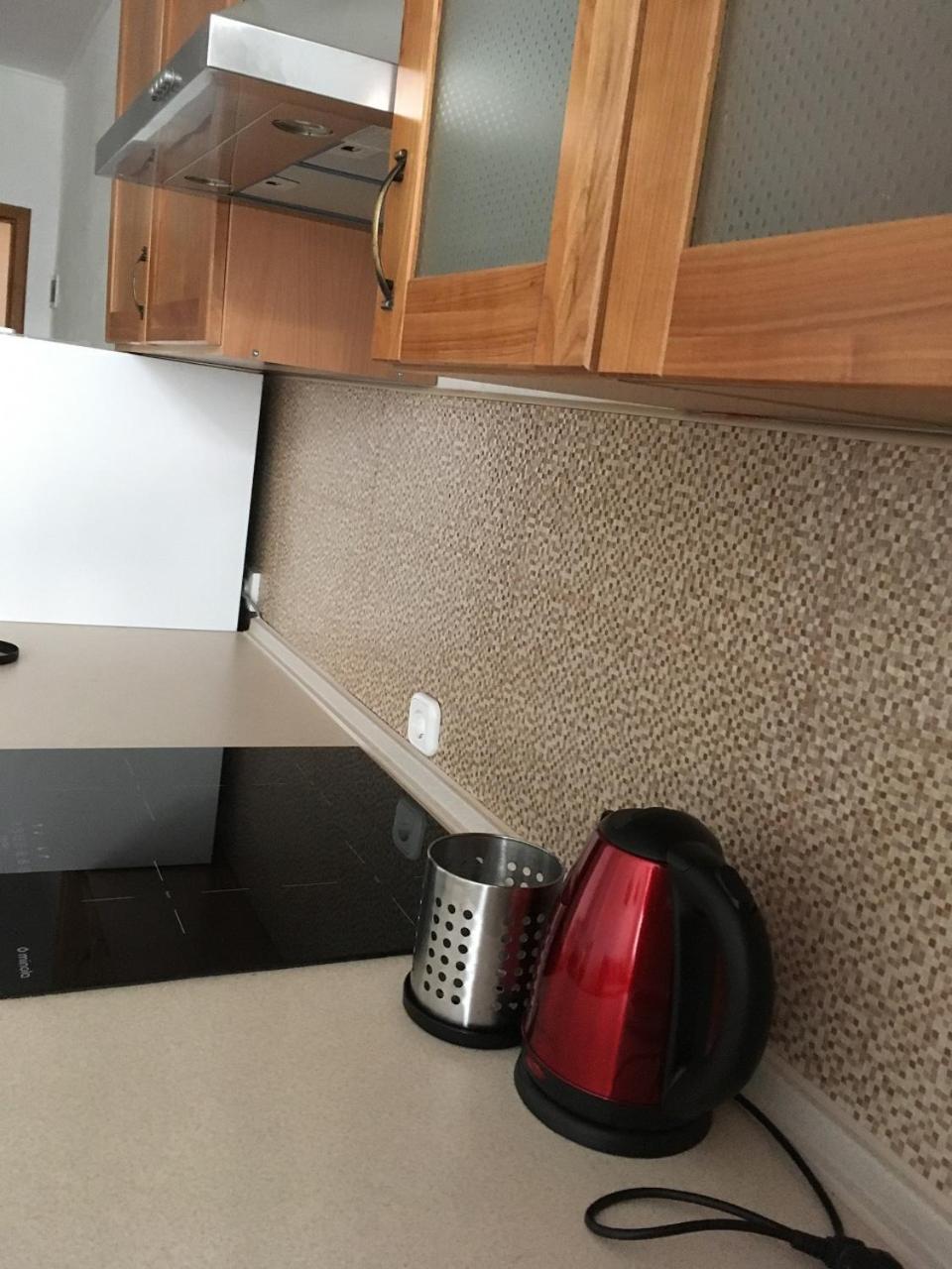Apartaments In Karpaty Mizhhirya  외부 사진