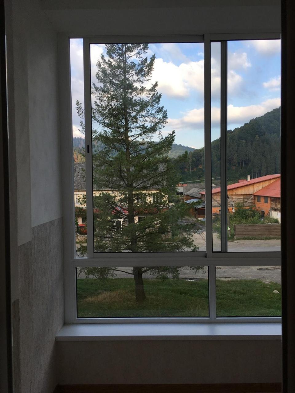 Apartaments In Karpaty Mizhhirya  외부 사진
