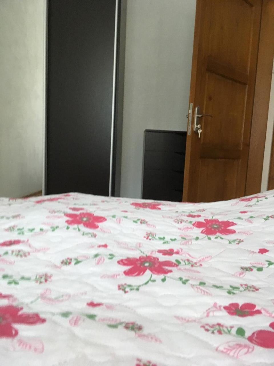 Apartaments In Karpaty Mizhhirya  외부 사진
