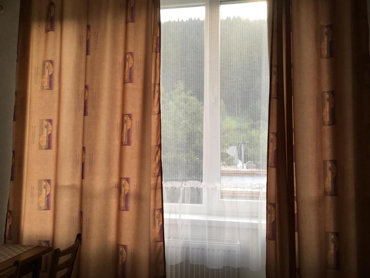 Apartaments In Karpaty Mizhhirya  외부 사진