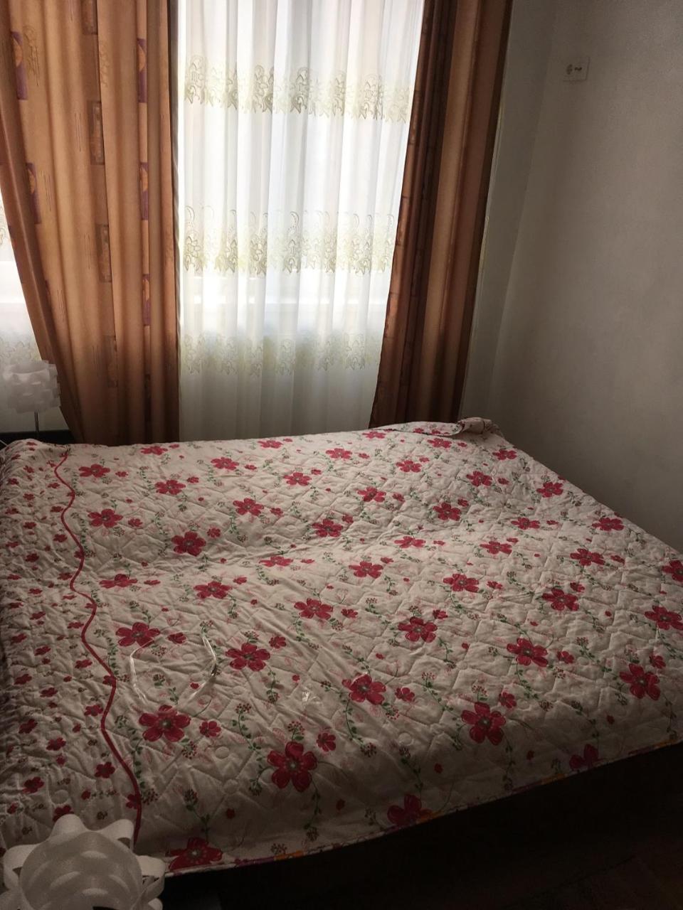 Apartaments In Karpaty Mizhhirya  외부 사진