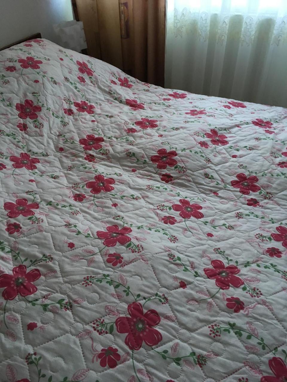 Apartaments In Karpaty Mizhhirya  외부 사진