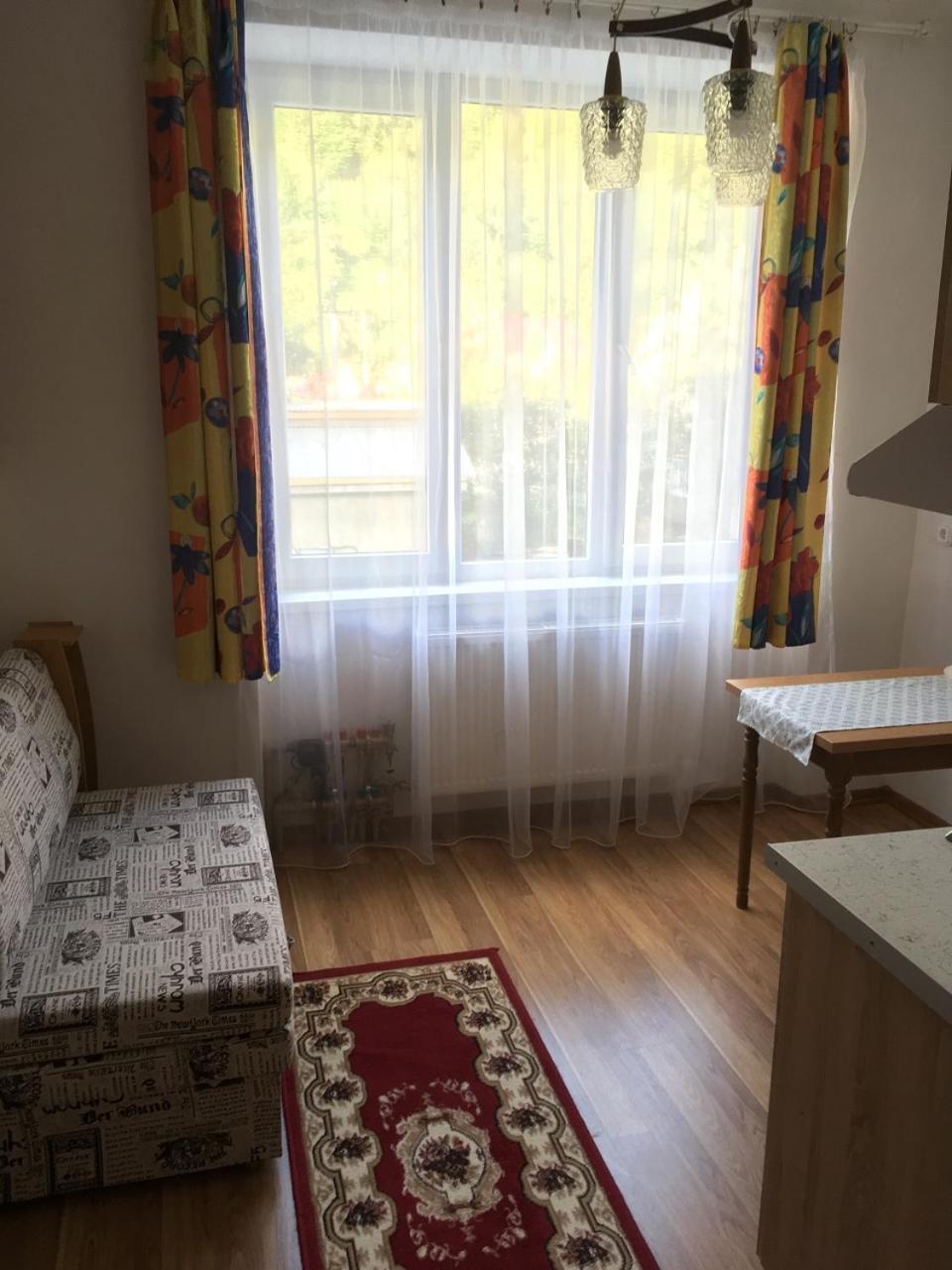 Apartaments In Karpaty Mizhhirya  외부 사진