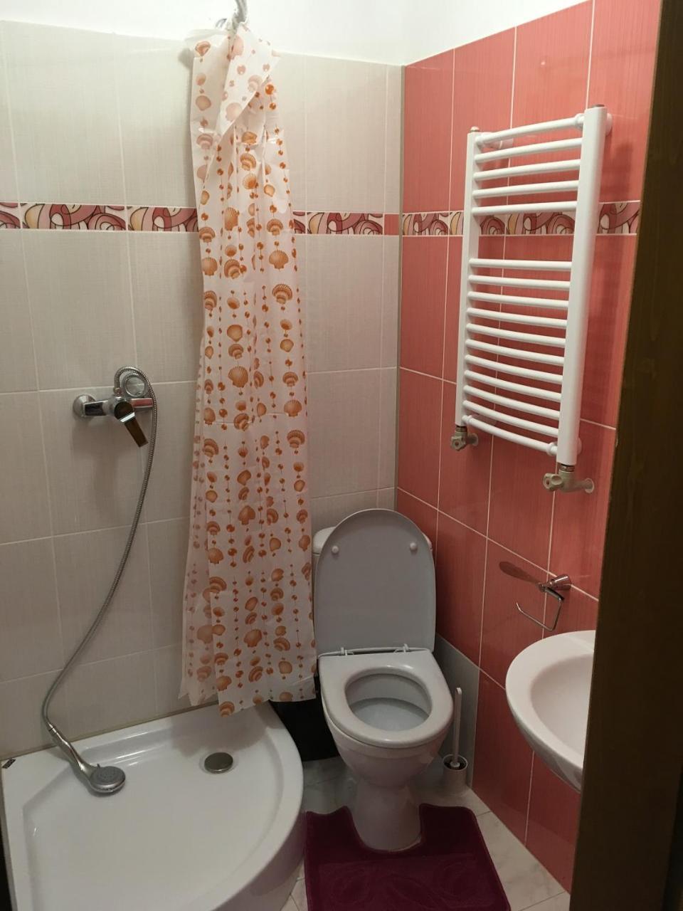 Apartaments In Karpaty Mizhhirya  외부 사진